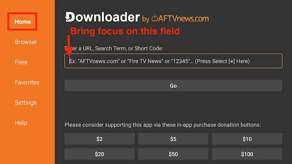 focusing the pointer into the search field